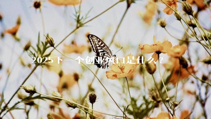 2025下一个创业风口是什么?