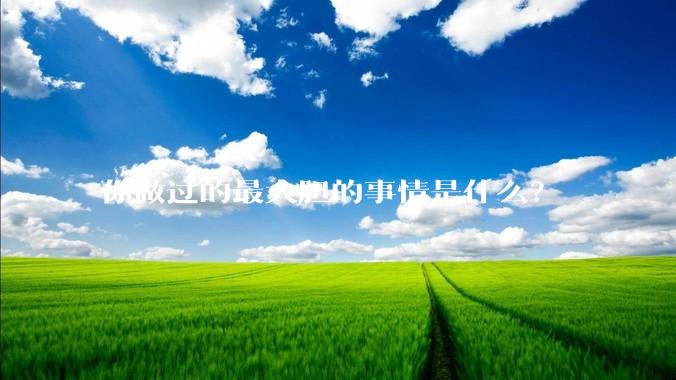 你做过的最大胆的事情是什么？