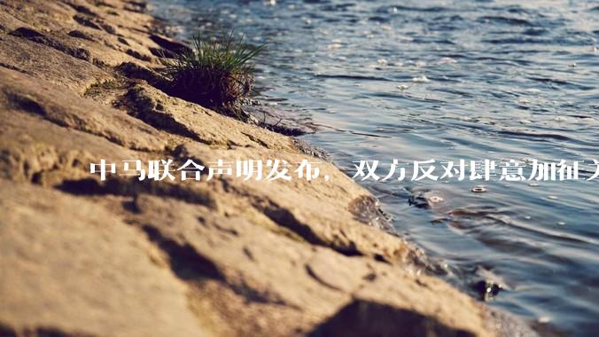 中马联合声明发布，双方反对肆意加征关税等违反世界贸易组织规则的单边贸易限制，还有哪些信息值得关注？