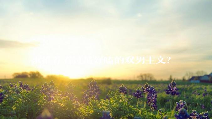 求推荐看过最好嗑的双男主文？