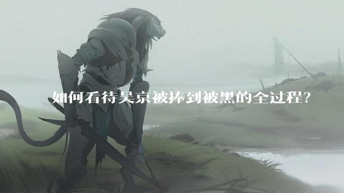 如何看待吴京被捧到被黑的全过程？